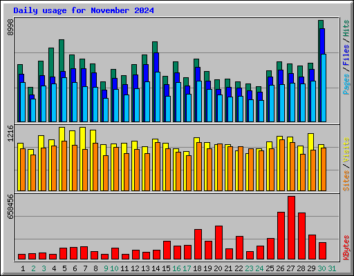 Daily usage for November 2024