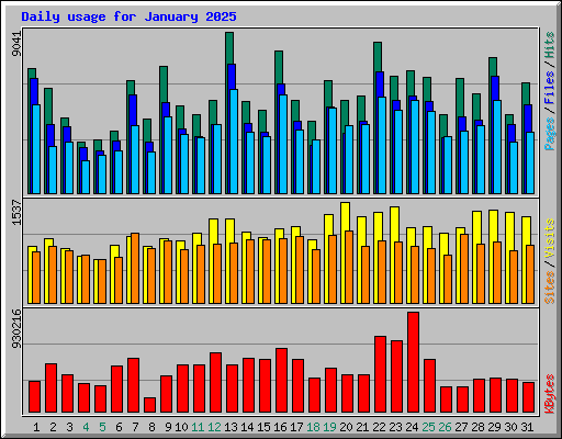 Daily usage for January 2025