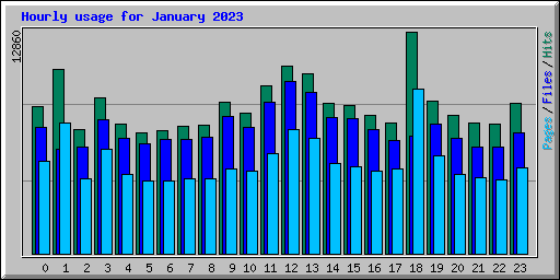 Hourly usage for January 2023