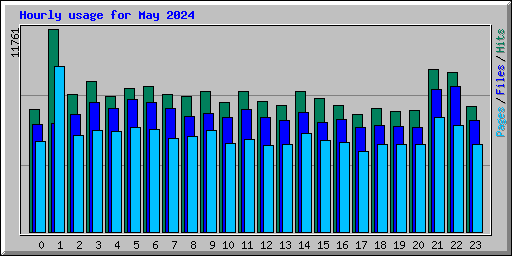 Hourly usage for May 2024