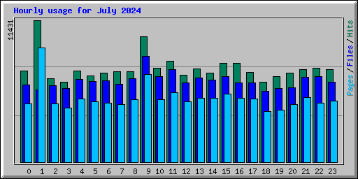 Hourly usage for July 2024