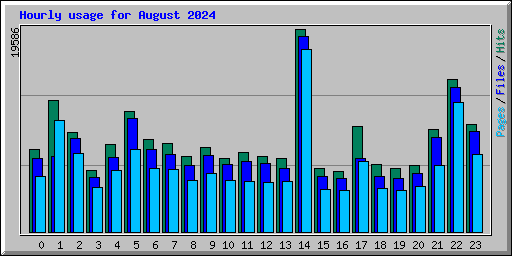 Hourly usage for August 2024