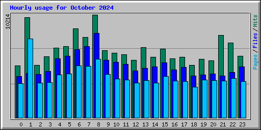 Hourly usage for October 2024