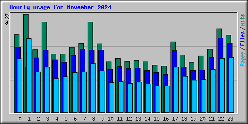 Hourly usage for November 2024