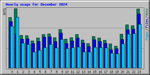 Hourly usage for December 2024